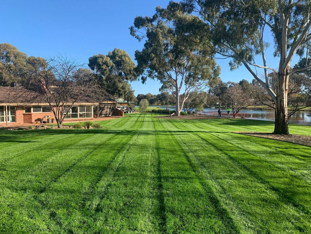 seeded lawn on murray river echuca