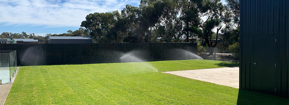 backyard irrigation system