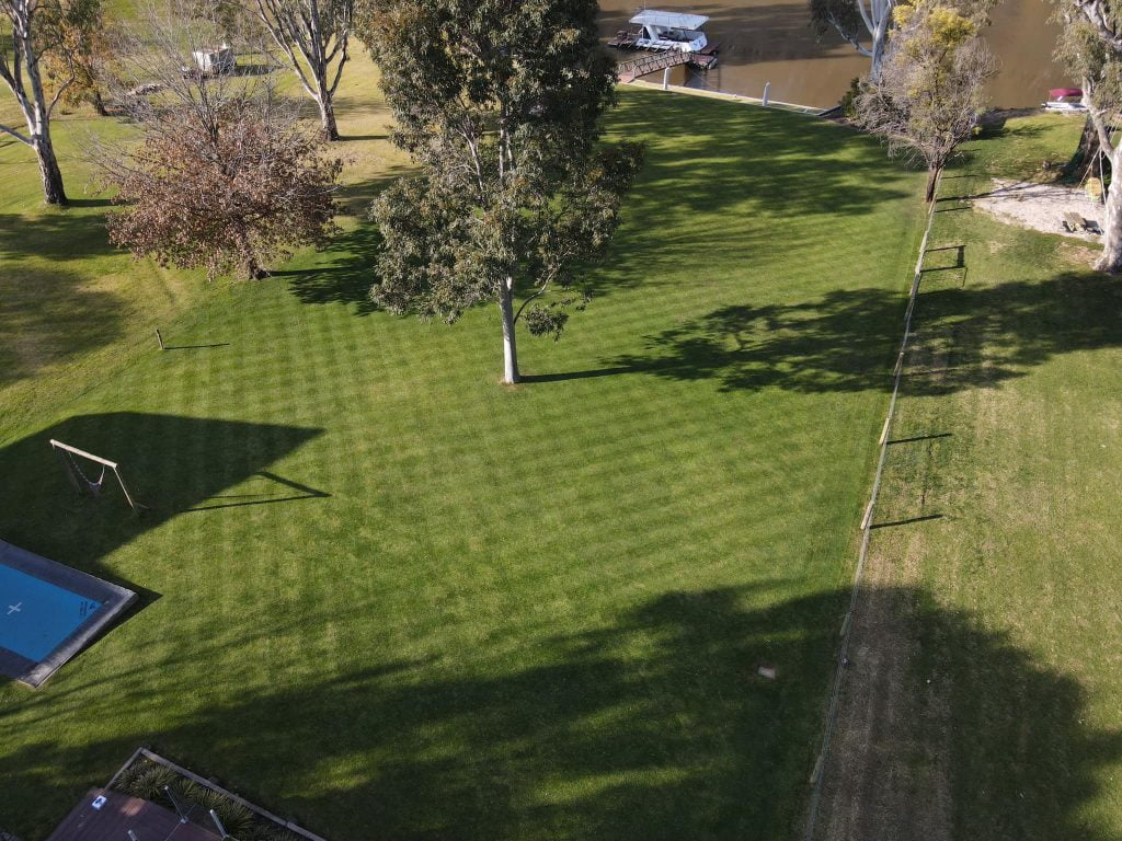 seeded lawn in echuca
